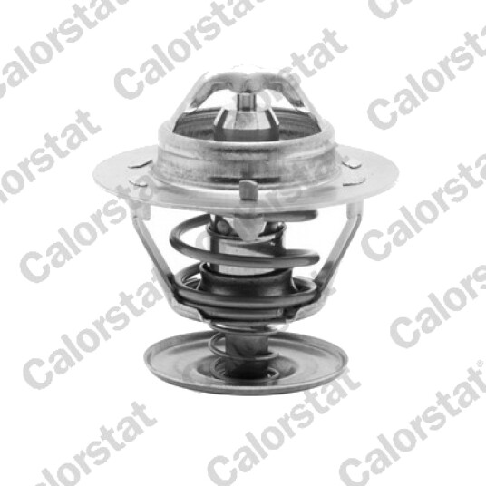 Termostat CALORSTAT by Vernet TH5750.88J