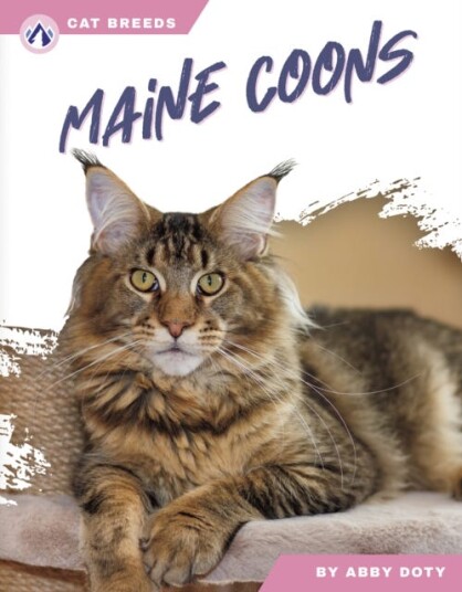 Cat Breeds: Maine Coons Cat Breeds: Maine Coons