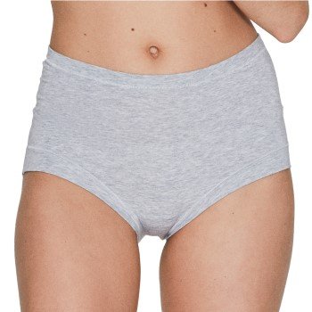 JBS of Denmark Truser Bamboo Maxi Brief Lysgr? XX-Large Dame
