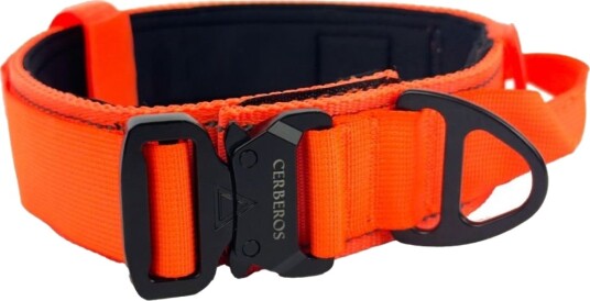 Cerberos Hundehalsbånd Oransje L