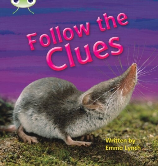 Bug Club Phonics Phase 5 Unit 18: Follow the Clues
