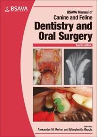 Bsava Manual Of Canine And Feline Dentistry And Oral Surgery Bsava Manual Of Canine And Feline Dentistry And Oral Surgery