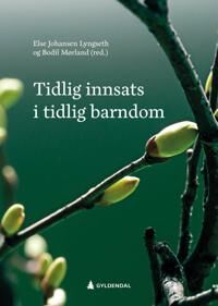 Tidlig Innsats I Tidlig Barndom