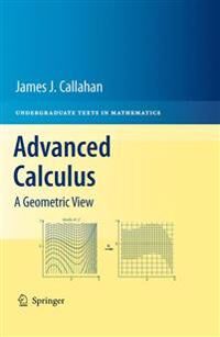 Advanced Calculus Av James J. Jr. Callahan