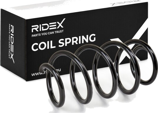 RIDEX 188C0365 Fjær