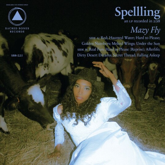 Spelling Mazy Fly Vinyl
