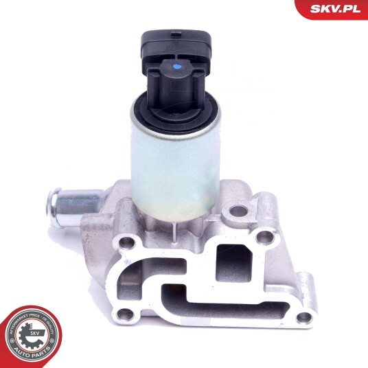 ESEN SKV 14SKV207 EGR-ventil