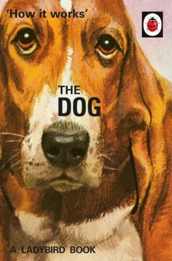 How It Works: The Dog Av Jason Hazeley, Joel Morris