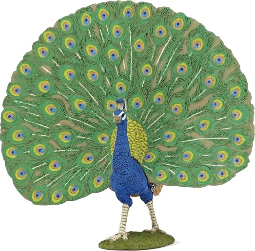 Papo 51161 3 År Farmyard Friends Flerfarget Pvc