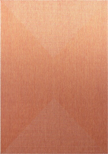 Innendørs/Utendørs tepper Arlo oransje Størrelse: 200 x 290 cm