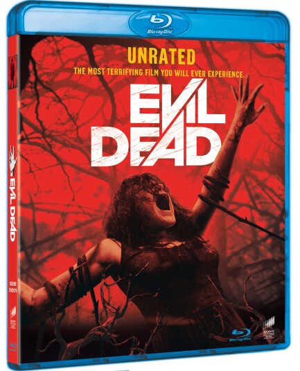 Evil Dead Unrated (2013) Evil Dead Unrated (2013)