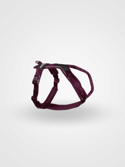 Non-Stop Dogwear Line Harness 5.0 Lilla 4