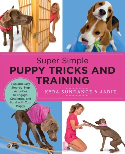 Super Simple Puppy Tricks and Training Super Simple Puppy Tricks and Training
