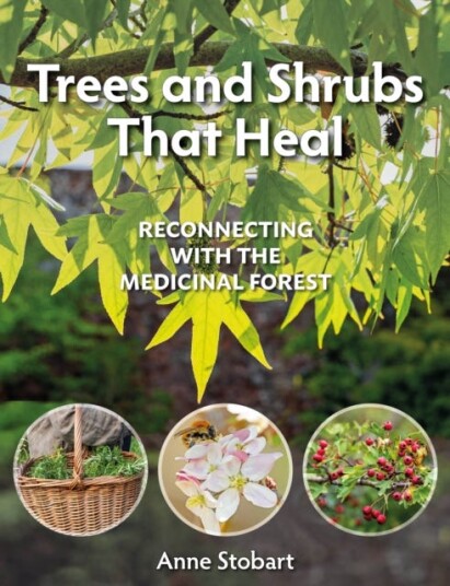 Trees And Shrubs That Heal Av Anne Stobart