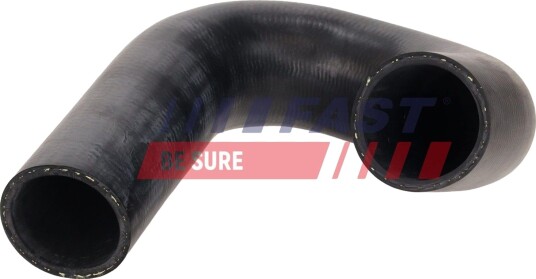 FAST FT01272 Ladeluftslange