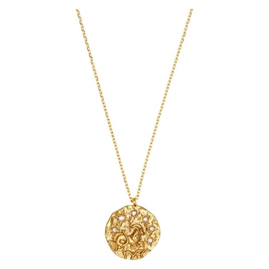 OreliaCapricorn Zodiac Necklace OreliaCapricorn Zodiac Necklace