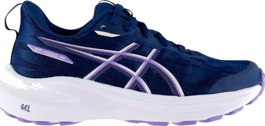 Asics Sko GT 1000 14 GS Uavhengighet Blue/Falmet Plum Asics 40 Sko Blå Lilla