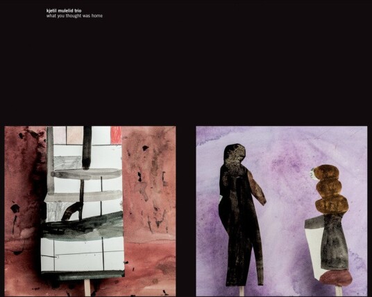 Kjetil Mulelid Trio What You Thought Was Home Vinyl