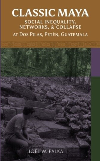 Classic Maya Social Inequality Networks and Collapse at Dos Pilas Peten Guatemala