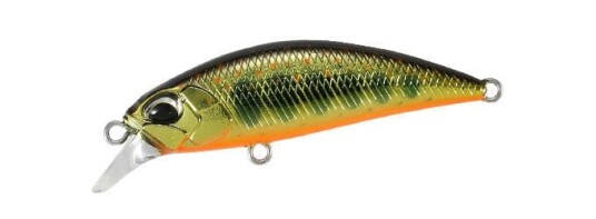 Duo Spearhead Ryuki 80s Gold Yamame Duo Spearhead Ryuki 80s Gold Yamame