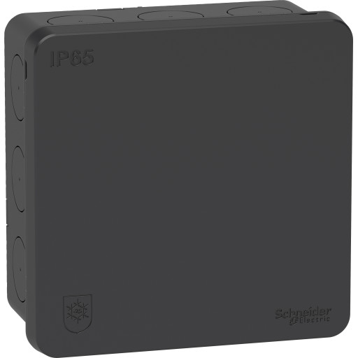 Schneider Electric IMT35336 Koblingsboks IP65, 2 K Antrasitt Schneider Electric IMT35336 Koblingsboks IP65, 2 K Antrasitt