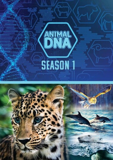 Animal Dna: Season One DVD