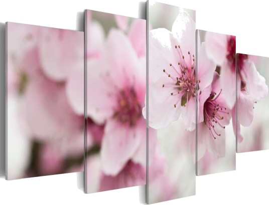 Bilde CherryGentleness And Beauty 200x100 Artgeist sp. z o. o.