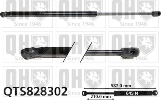 QUINTON HAZELL QTS828302 Baklukedemper