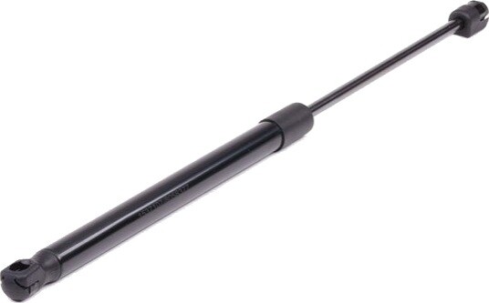 RIDEX 219G0022 Baklukedemper