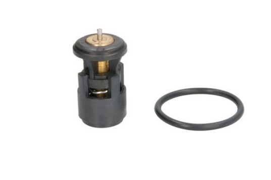Termostat THERMOTEC D2A005TT