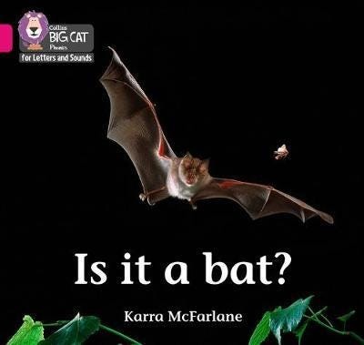 Is it a Bat? Band 01b/Pink B Is it a Bat? Band 01b/Pink B