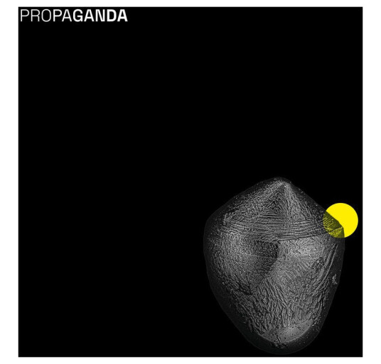 Propaganda Propaganda CD Propaganda Propaganda CD