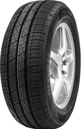 Delinte DV2 195/80R14 106R