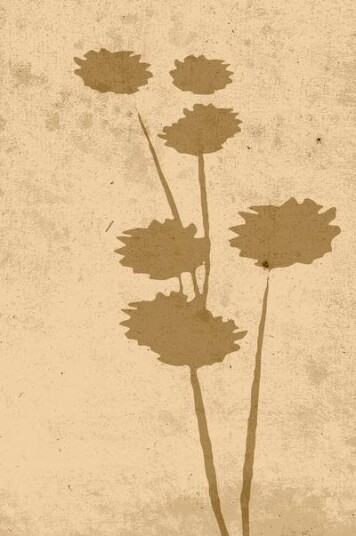 Venture Home Poster Flower art 1703399-01-136