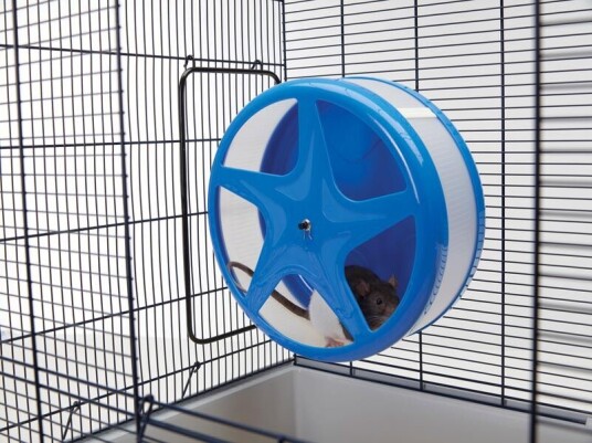 Savic Orbital Wheel