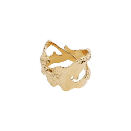 Pilgrim COMPASS organisk ring gullbelagt