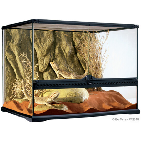 Glassterrarium Naturlig Medium/Bred 60 X 45 X 45 cm Glassterrarium Naturlig Medium/Bred 60 X 45 X 45 cm