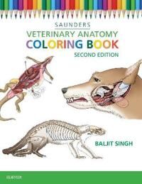 Veterinary Anatomy Coloring Book Av Baljit (Dean And Professor Faculty Of Veterinary Medicine At University Of Calgary) Singh