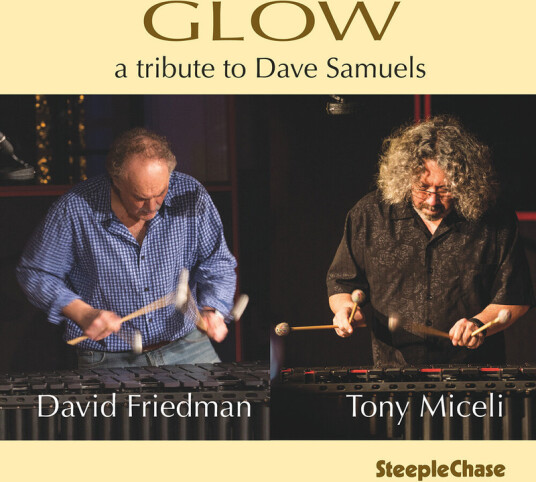 David Friedman Glow CD