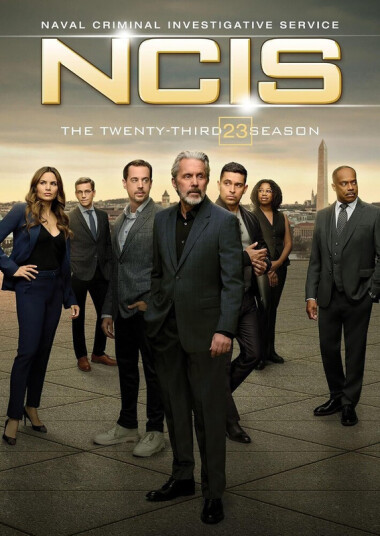 Ncis: The TwentyThird Season DVD
