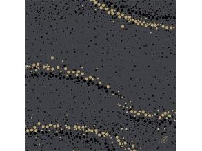 Serviet Dunisoft Airlaid 40X40 Cm Golden Stardust Black,6 Pk X 60 Stk