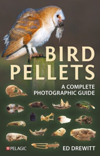 Bird Pellets Bird Pellets