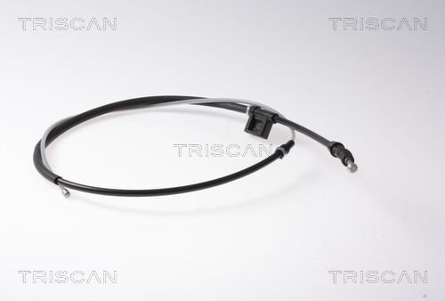 Bremsewire TRISCAN 8140 291167