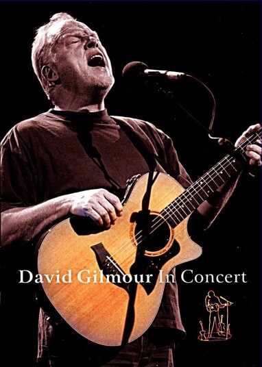 David Gilmour In Concert DVD David Gilmour In Concert DVD