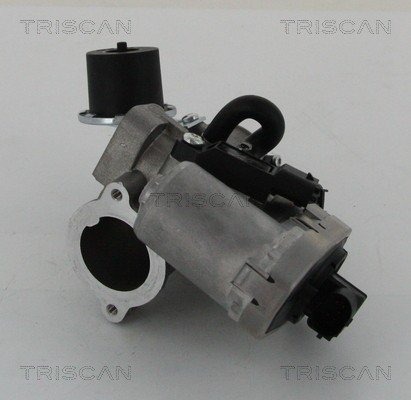 EGR-ventil TRISCAN 8813 16202 EGR-ventil TRISCAN 8813 16202