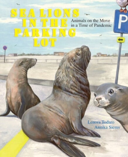 Sea Lions In The Parking Lot Av Lenora Todaro Sea Lions In The Parking Lot Av Lenora Todaro