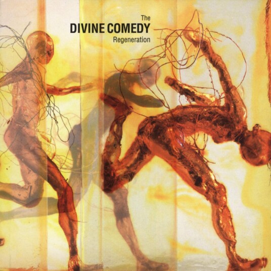 The Divine Comedy  Regeneration  LP/Vinyl