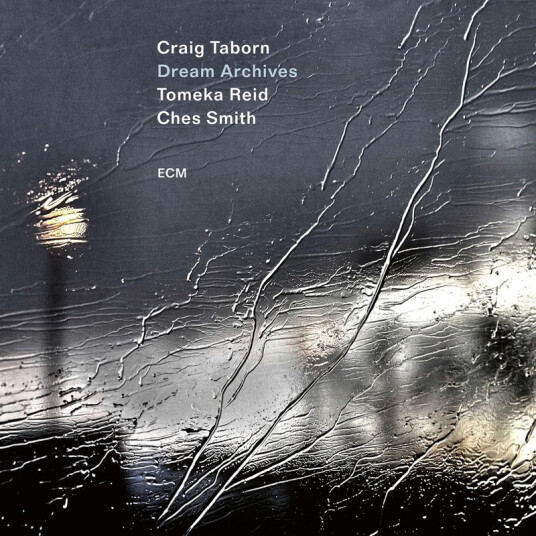 Craig Taborn Dream Archives CD