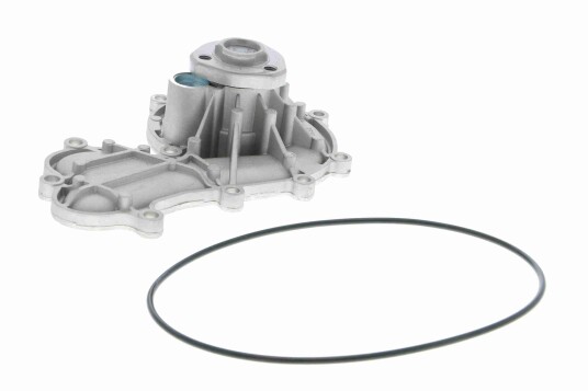 VAICO V10 50079 Vannpumpe VAICO V10 50079 Vannpumpe