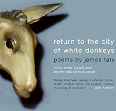 Return To The City Of White Donkeys  Poems